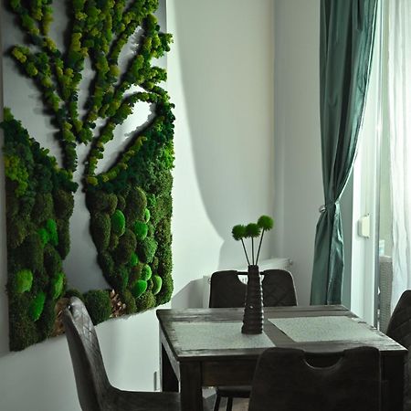 Mirvana Apartments Metheor Executive Suite Timişoara Eksteriør billede