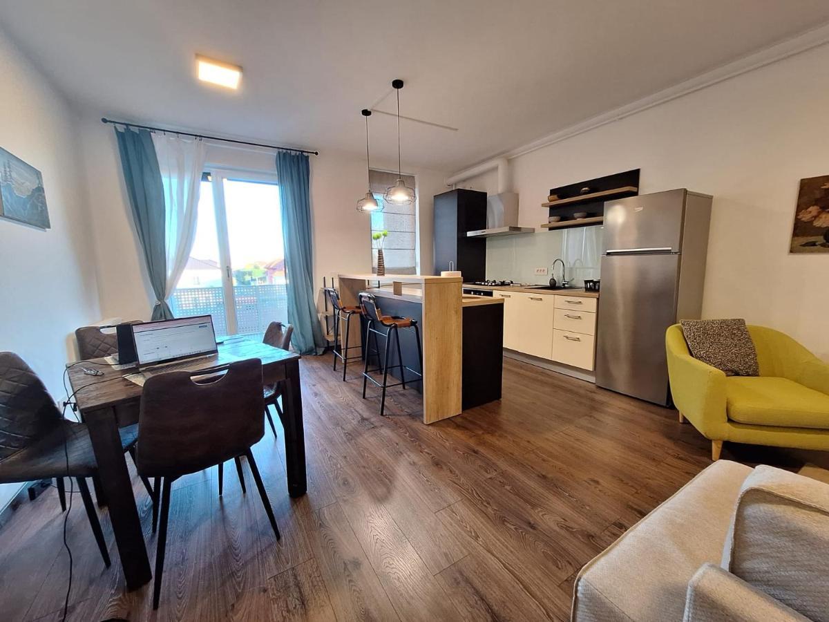 Mirvana Apartments Metheor Executive Suite Timişoara Eksteriør billede