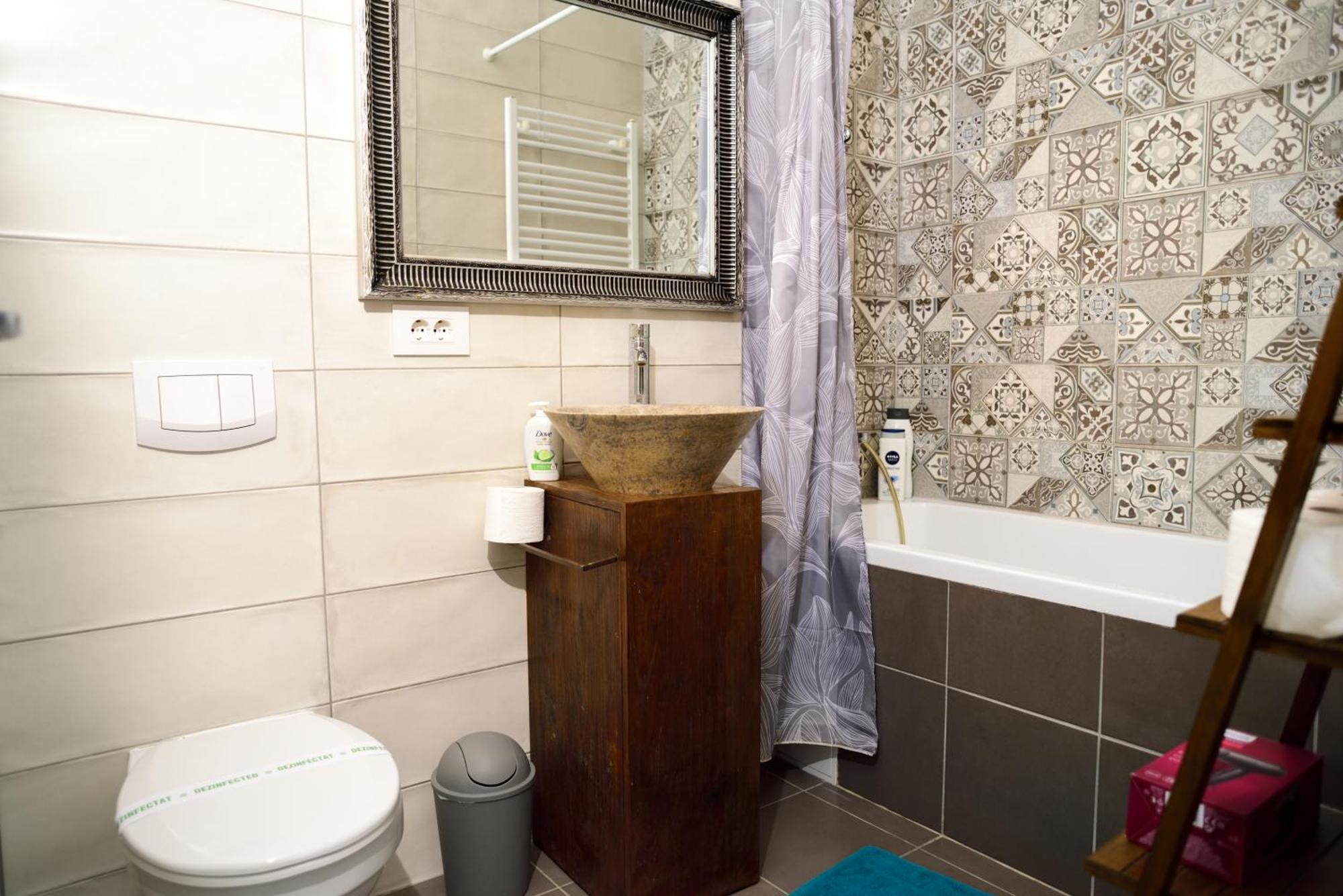 Mirvana Apartments Metheor Executive Suite Timişoara Eksteriør billede