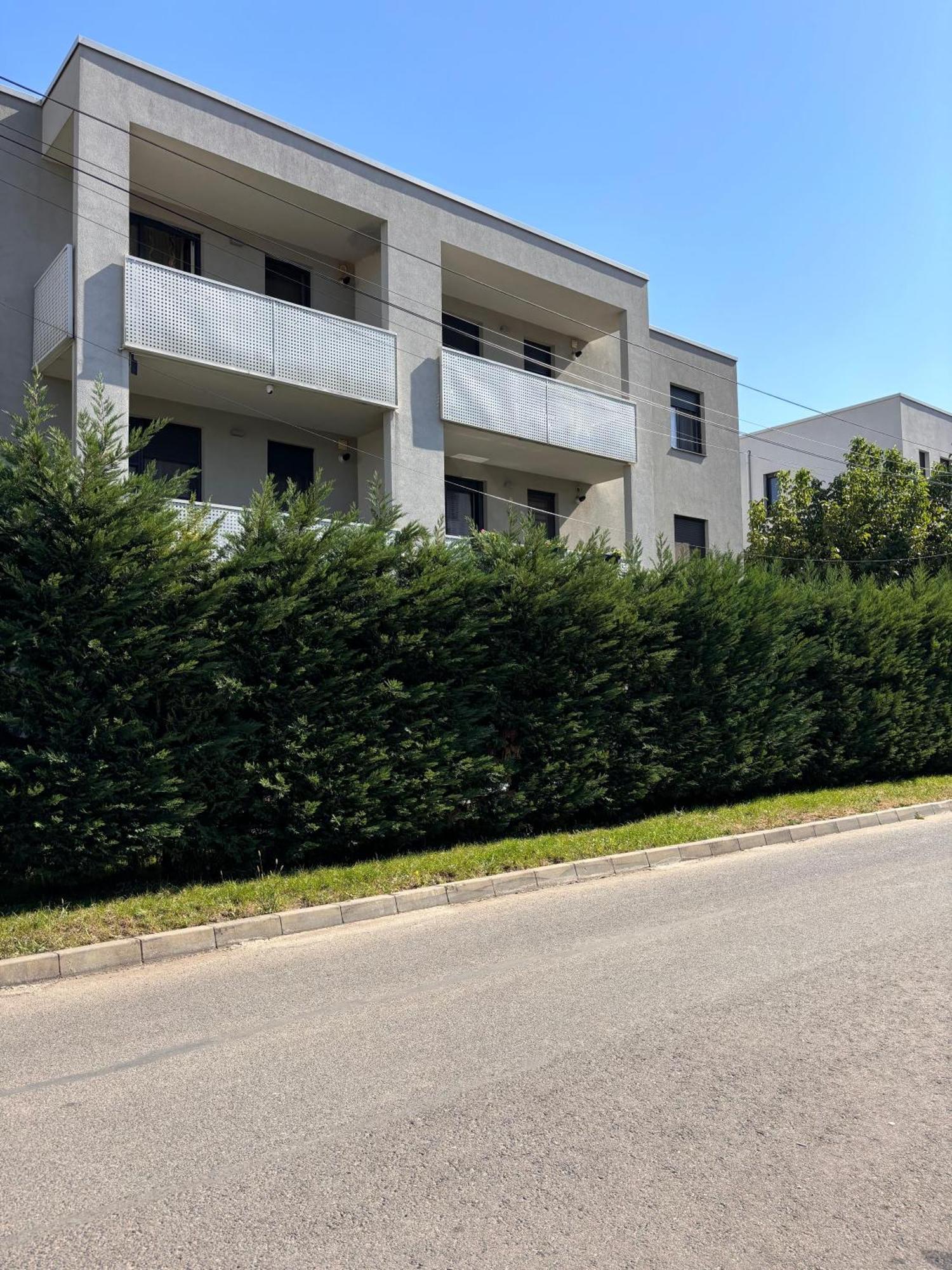 Mirvana Apartments Metheor Executive Suite Timişoara Eksteriør billede