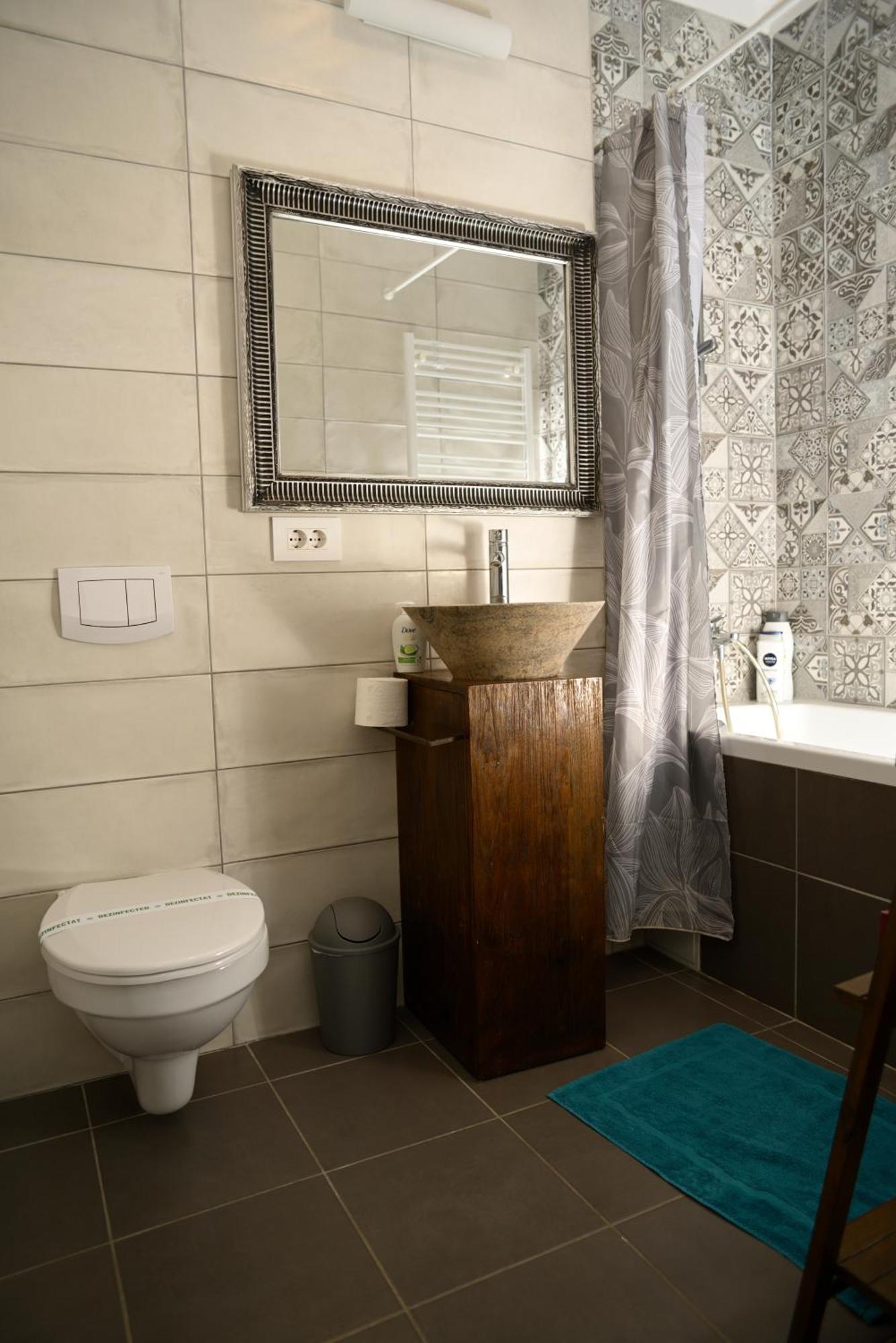 Mirvana Apartments Metheor Executive Suite Timişoara Eksteriør billede